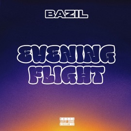 Evening Flight Bazil