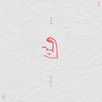 GYM - Single - Visco