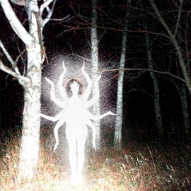 ARAÑA Aini