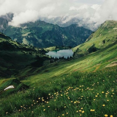 Don't Need You - Single