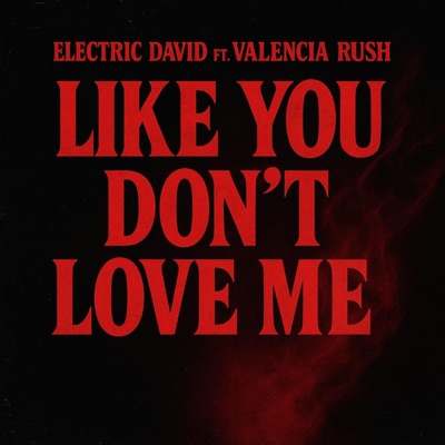 Like You Don't Love Me (feat. Valencia Rush) - Single