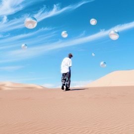 Above the Treeline Bloomer & Nimbus Garden