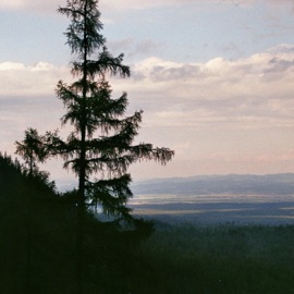 eternal pain ‎hiræth & Willix