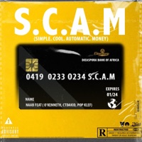 S.C.A.M (Simple Cool Automatic Money) - Single - Naab