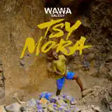 Wawa Salegy - Tsy Mora