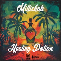Healing Potion - Single - Millichab