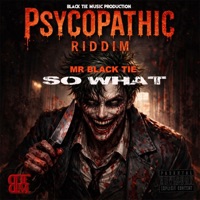 SO WHAT - Single - mr black tie