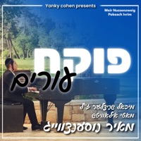 Pokeach Ivrim (feat. Motty Ilowitz & Michoel Schnitzler) - Single - Meir Nussenzweig