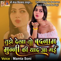 Tujhe Dekha to Badnaam Munni Ki Yaad Aa Gayi - Single - Mamta Soni