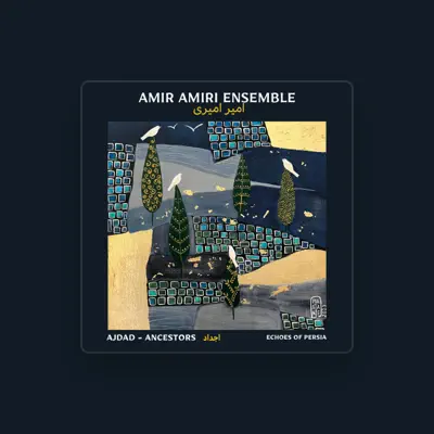 Listen to Amir Amiri, watch music videos, read bio, see tour dates & more!