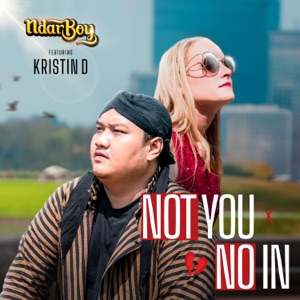 Not You No In Album Art