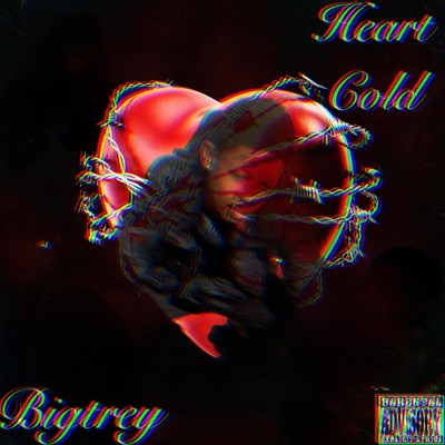 Heart Cold (feat. V4L Big Trey & 4LBbyD) - Single