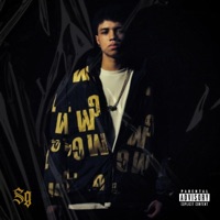 LOTE - Single - Martelo