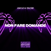 NON FARE DOMANDE (feat. Palma) - Single - DIESIS