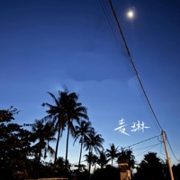 等待黎明等待深爱的你 - Single - 麦琳
