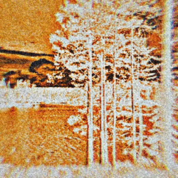 Garden Fields