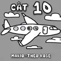 Cat 10