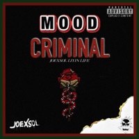 Mood Criminal - Single - Joexsol & Liyin Life