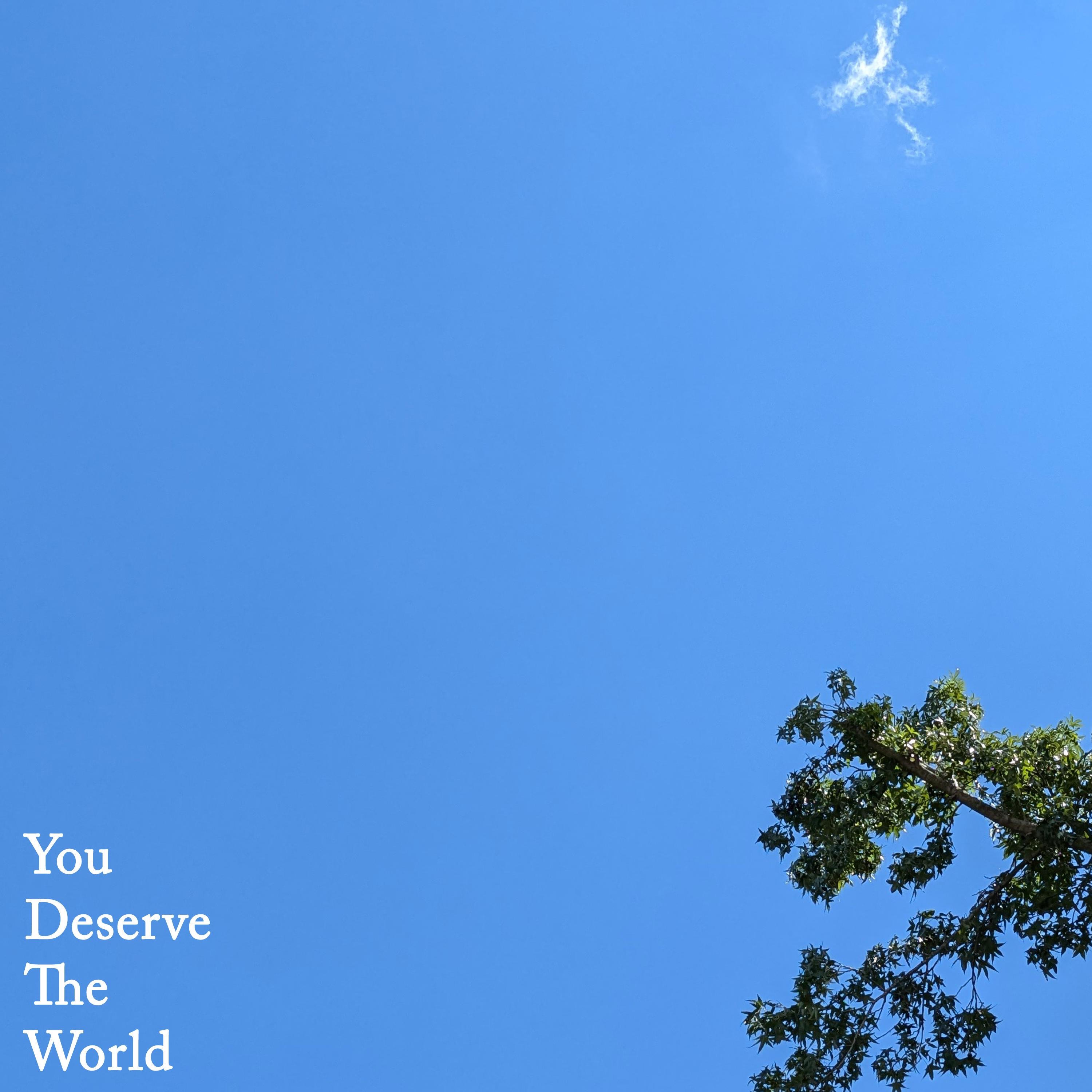 You Deserve The World