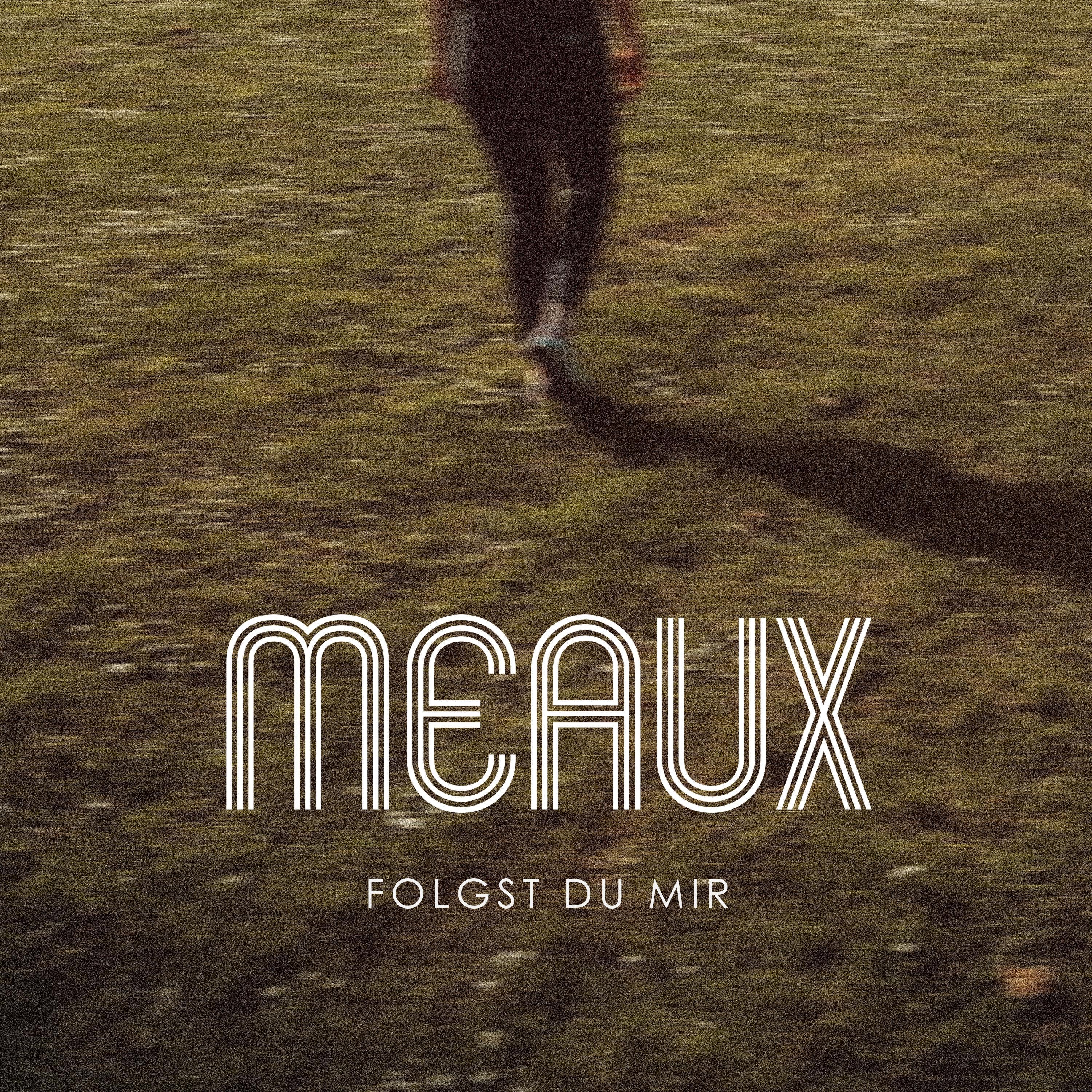 Folgst du mir - Single