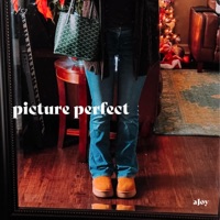 picture perfect - Single - aJoy