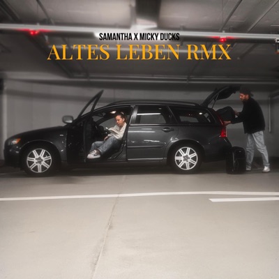 Altes Leben (Remix) - Single
