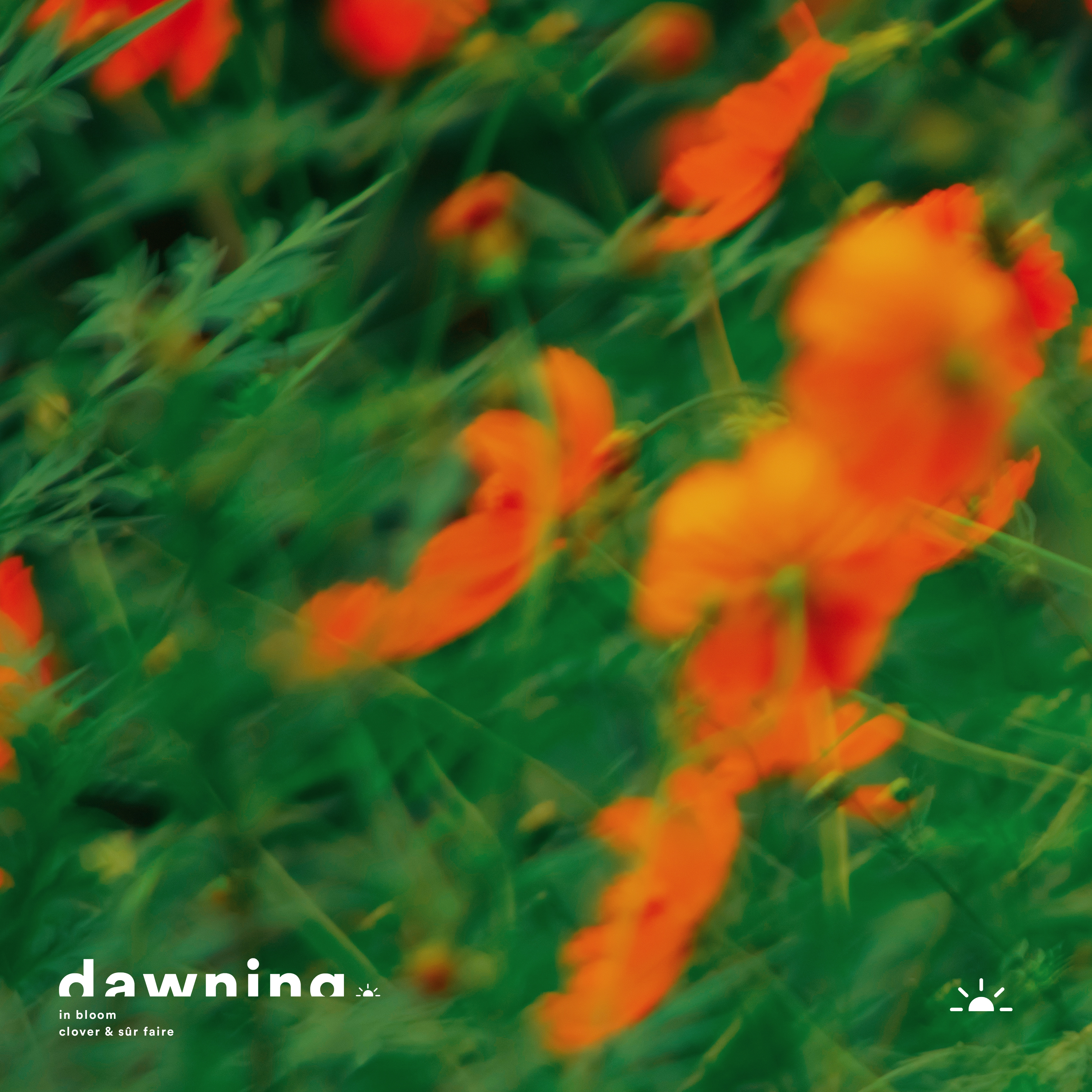 In Bloom - Single