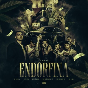 Endorfina (feat. MC Vine7, Mc Pê Leal, MC Duzinho SP & Lyvinte)