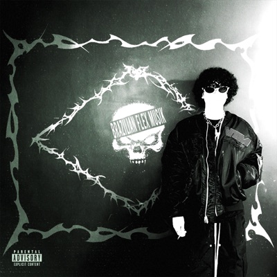 Brazilian Flex Musik