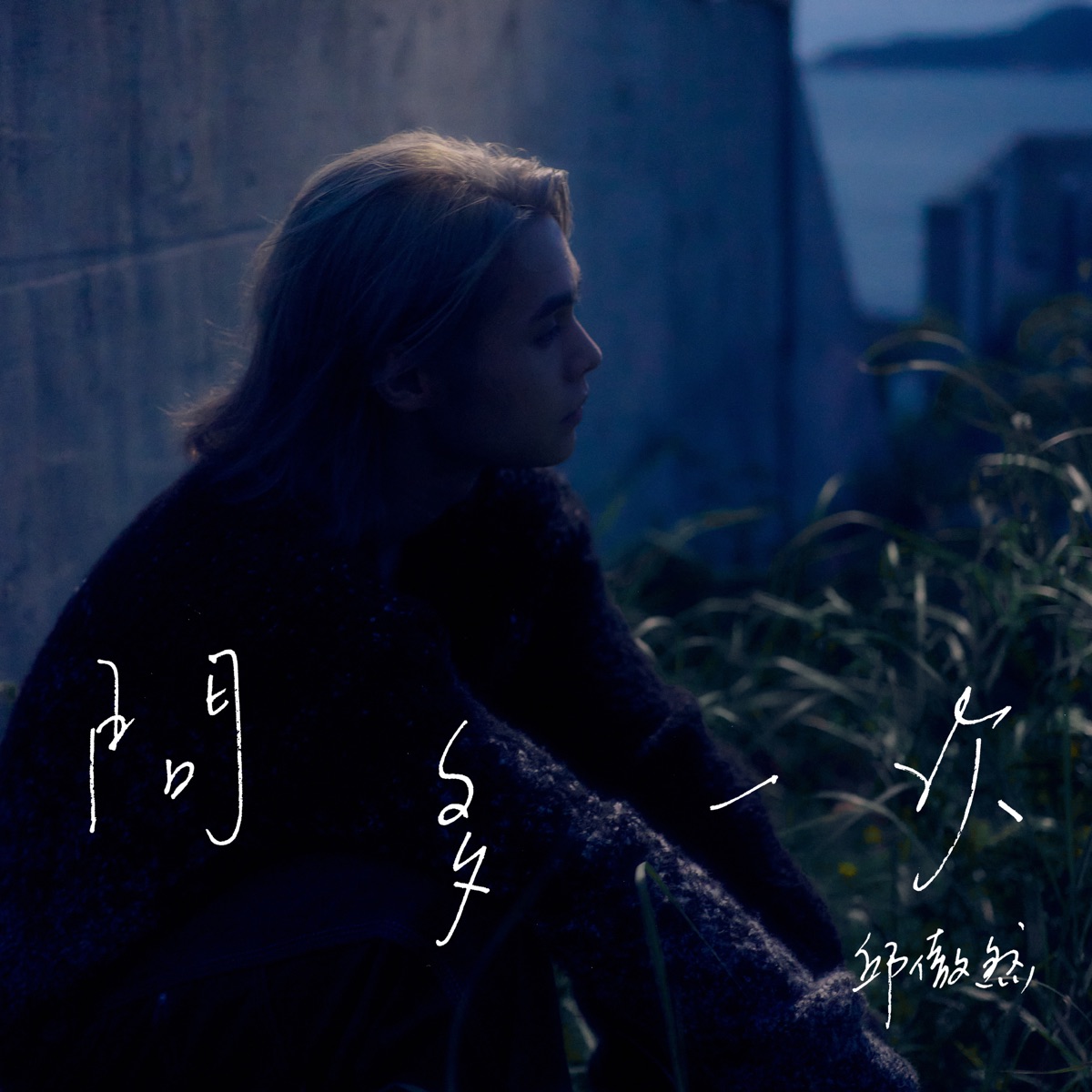 Tiger 邱傲然 - 問多一次 - Single (2025) [iTunes Plus AAC M4A]-新房子