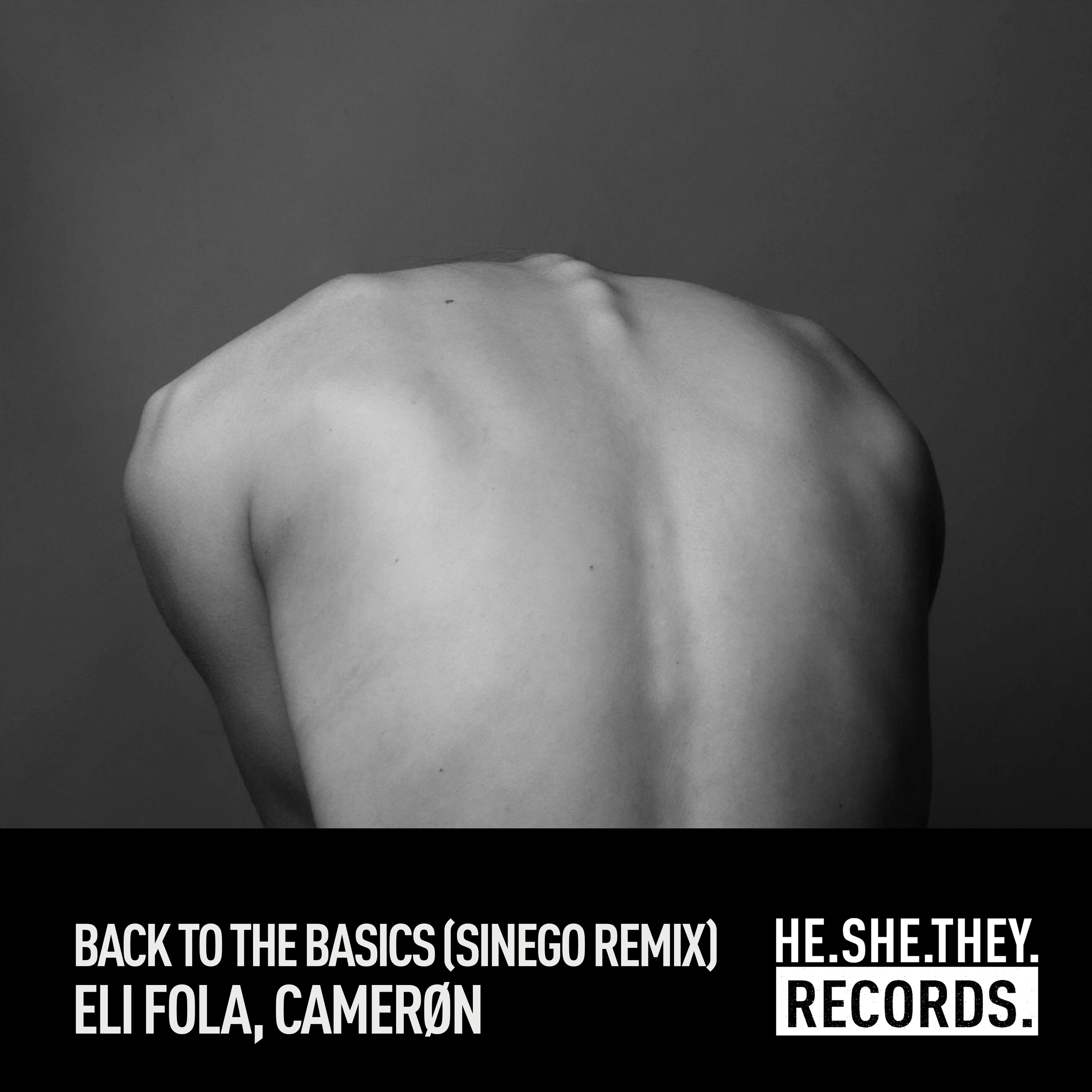 Back To The Basics (Sinego Remix) - Single