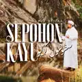 SEPOHON KAYU