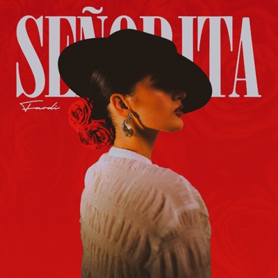 Señorita - Single