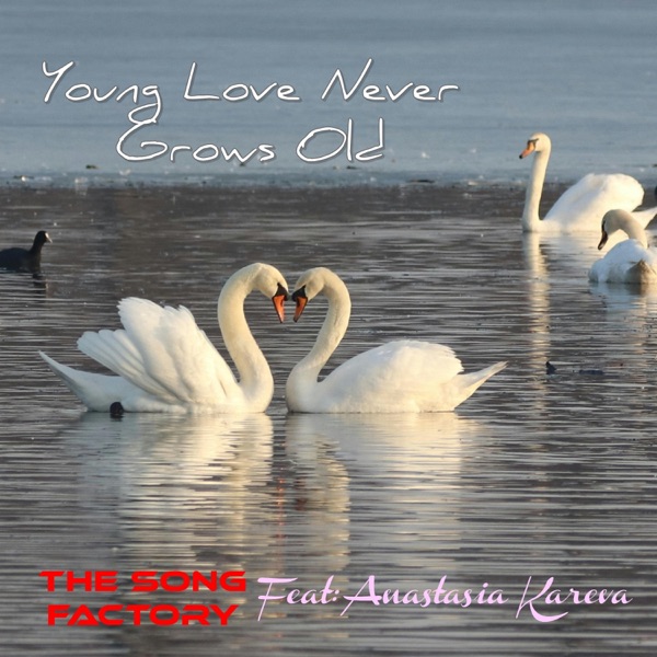 Young Love Never Grows Old