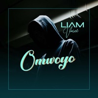 Omwoyo - Single - Liam Voice