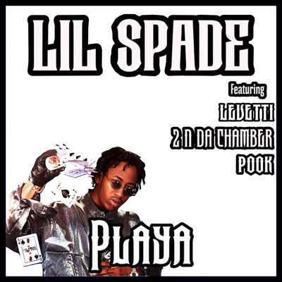 Playa (feat. Levitti, 2 N da Chamber & Pook) - Single