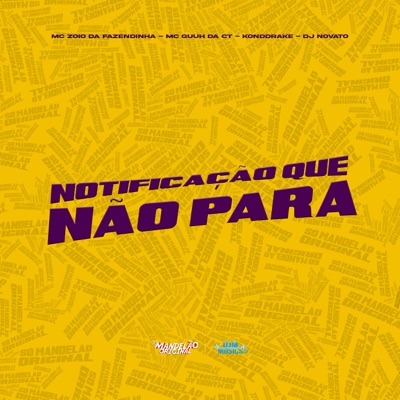 Notificaçâo Que Nâo Para - Single