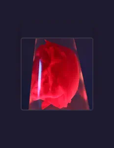 Dengarkan Zrnich, tonton video musik, baca bio, lihat tanggal tur & lainnya!