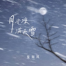 月光凉满天雪 (又是加班到深夜) 夏如风