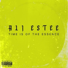 Time Is of the Essence Ali Estee