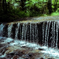 All the time (feat. arbydoe, sentixnce & USB O) - Single - Crashing Together