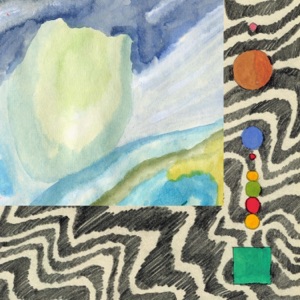 amydrium zippelianum - Single