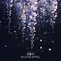 紫藤花 - Single - Rezey & B SHARK
