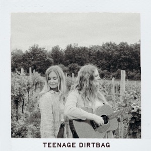 Teenage Dirtbag - Single