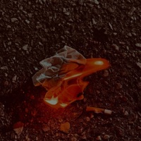 1101 - Single - monipo