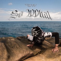 So What? - Single - Tidefall