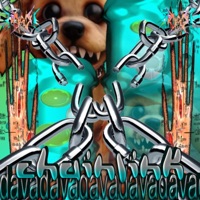 Chain-Link (Gaudz Remix) - Single - Davada & Gaudz