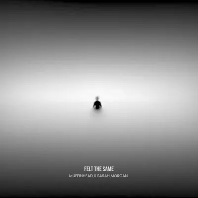 Listen to Felt the Same - Single by MuffinHead & Sarah Morgan