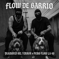 Flow de barrio (feat. Pemo Flow la 40) - Single - Diamond del terror