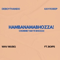 HAMBANAMABHOZA! (feat. Wav MusiQ, Kay R Deep & Boips) - Single - DeBoyThando